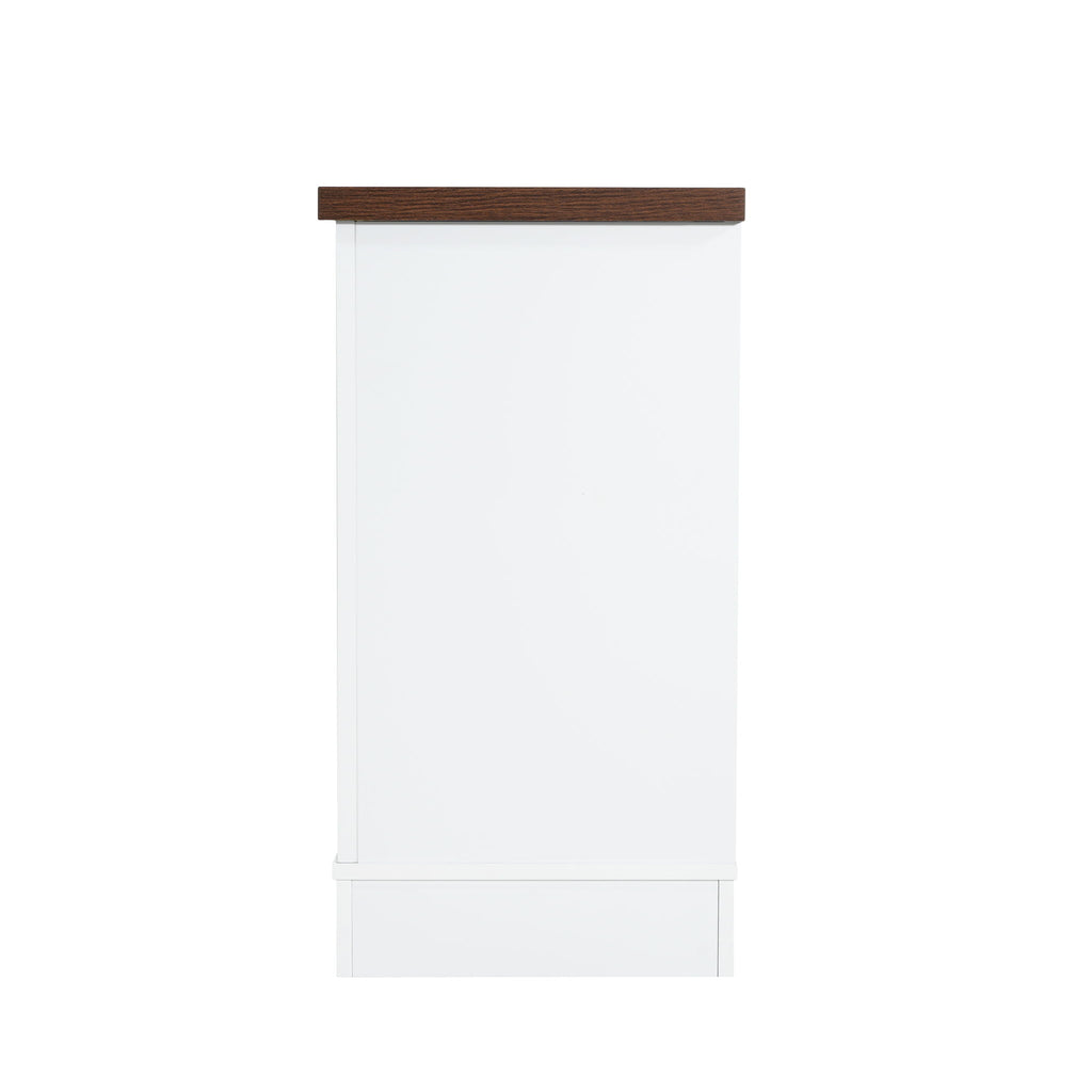 Modern TV Console & Adjustable Shelves