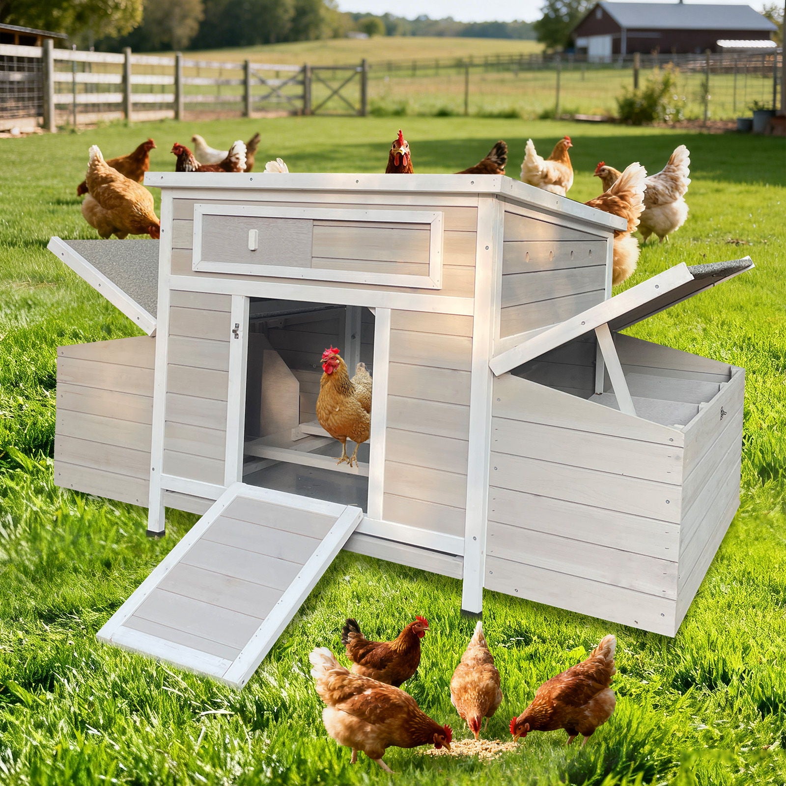 Large Chicken Coop Outdoor Hen House With Dual Nesting Boxes