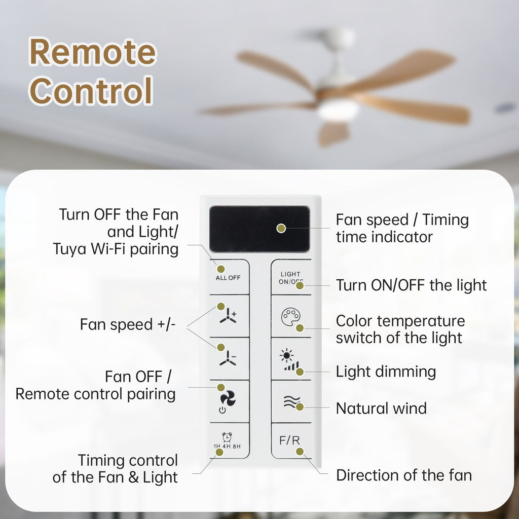 Ceiling Fan & DC Motor And Integrated Light