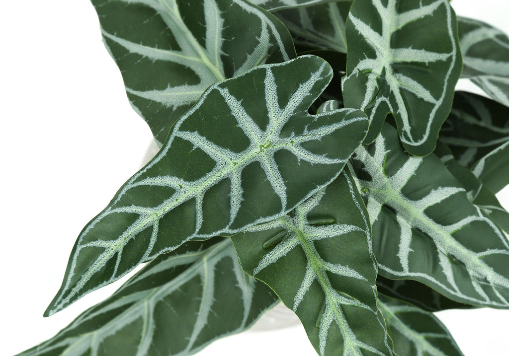Artificial Alocasia Plant (Set of 2)