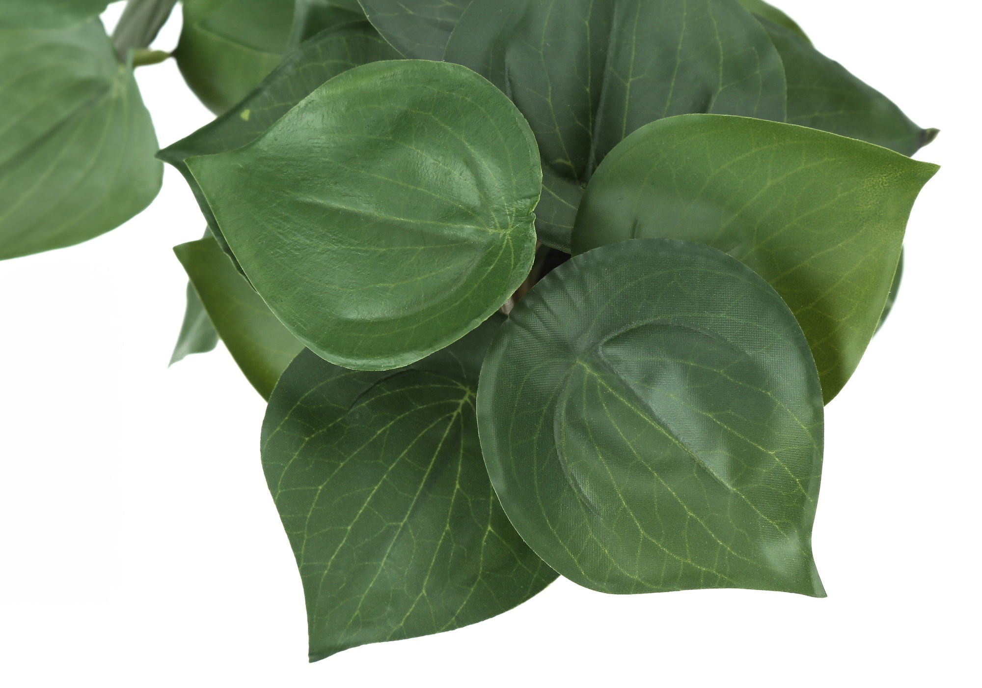 Artificial Alocasia Plant (Set of 2)