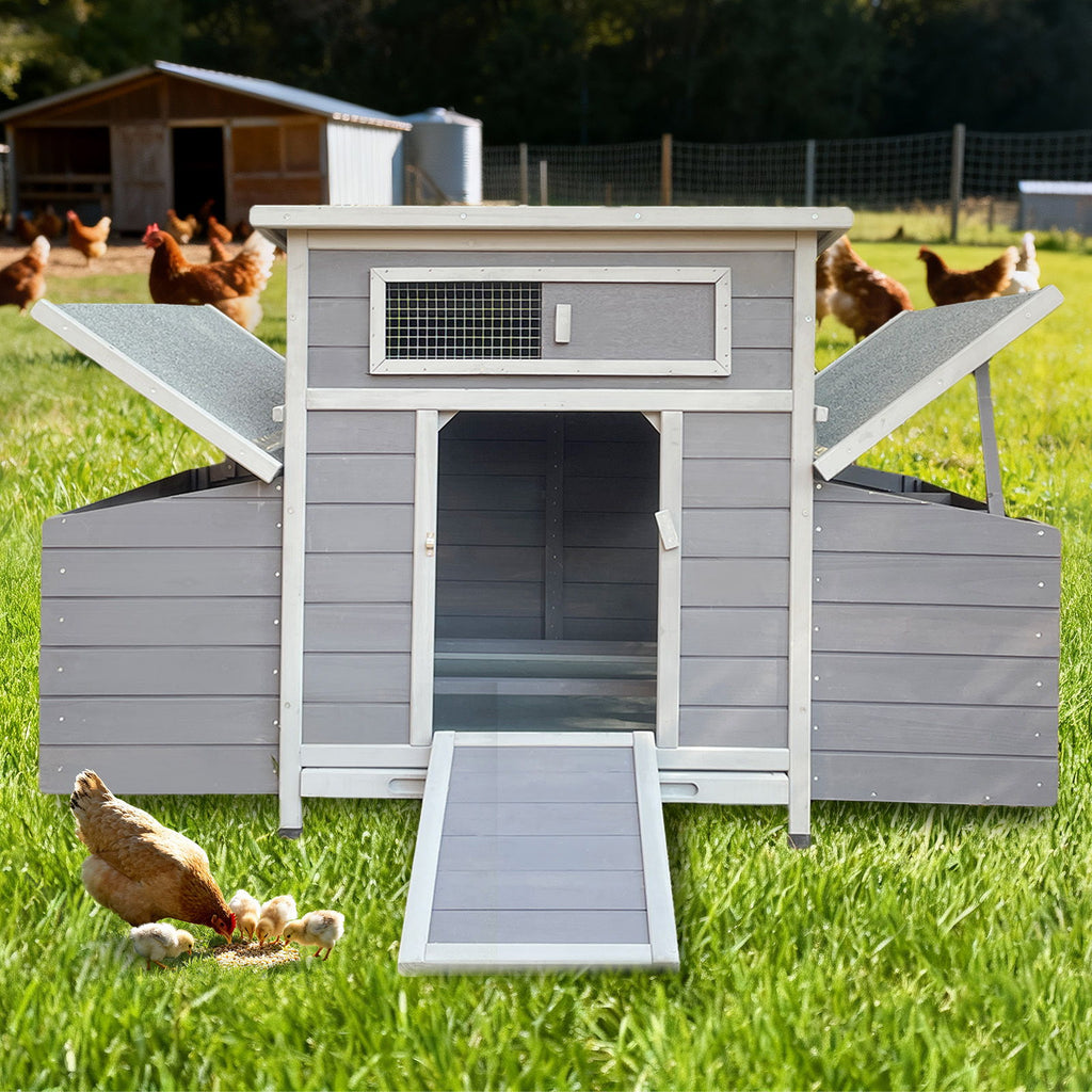 Large Chicken Coop Outdoor Hen House With Dual Nesting Boxes