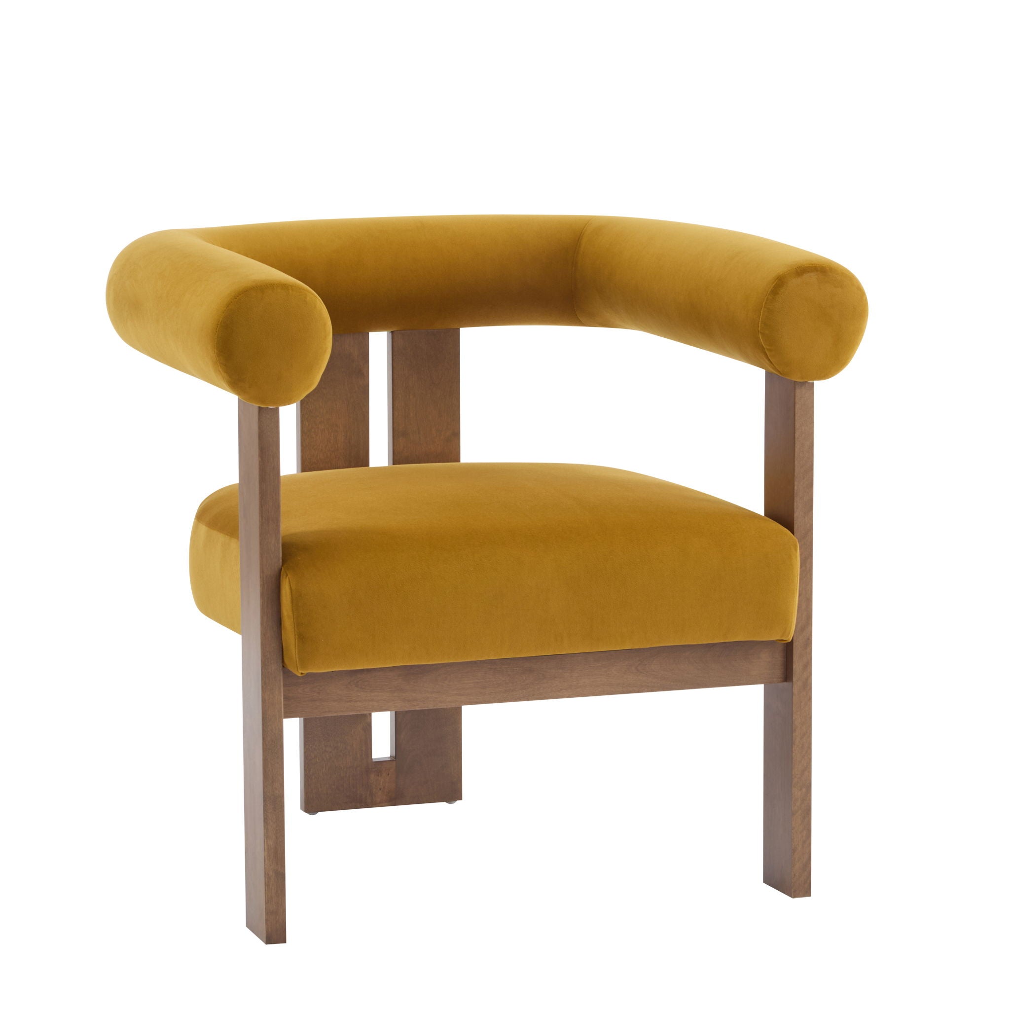 Modern Upholstered Round Arm Accent Chair With Upholstery
