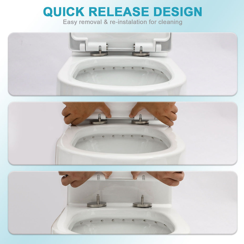 1 Piece Toilet For Bathroom, Dual Flush 1.1 / 1.6 Gpf, Soft Closing Seat - White