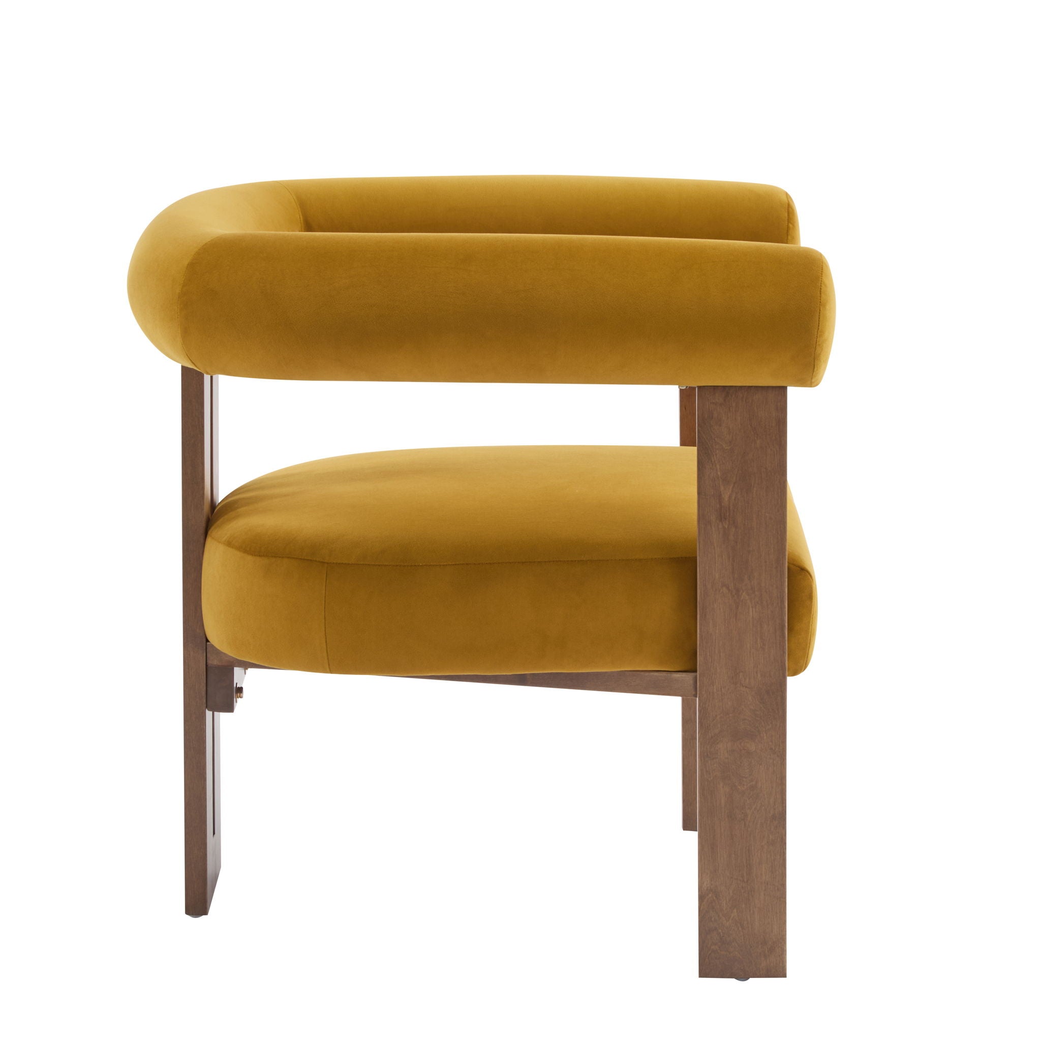 Modern Upholstered Round Arm Accent Chair With Upholstery