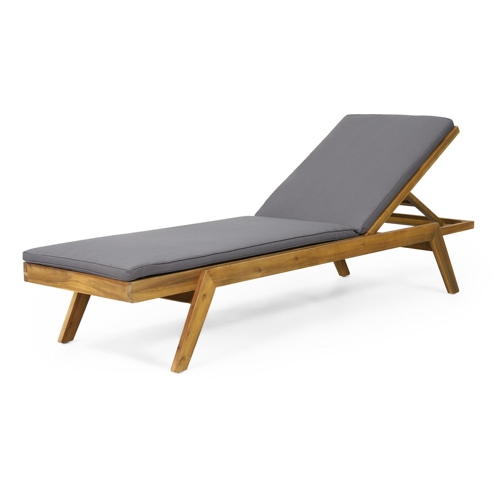 Nebulon - Outdoor Adjustable Chaise Lounge With Water Resistant Cushions (Set of 2)