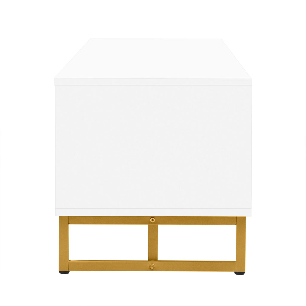TV Stand With Storage For Living Room