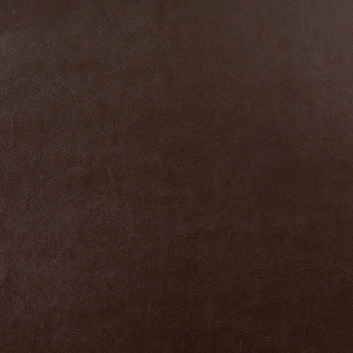 Hollister - Club Chair With Birch Legs - Brown Pu