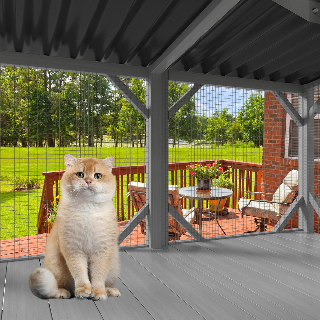 Cat Window Box