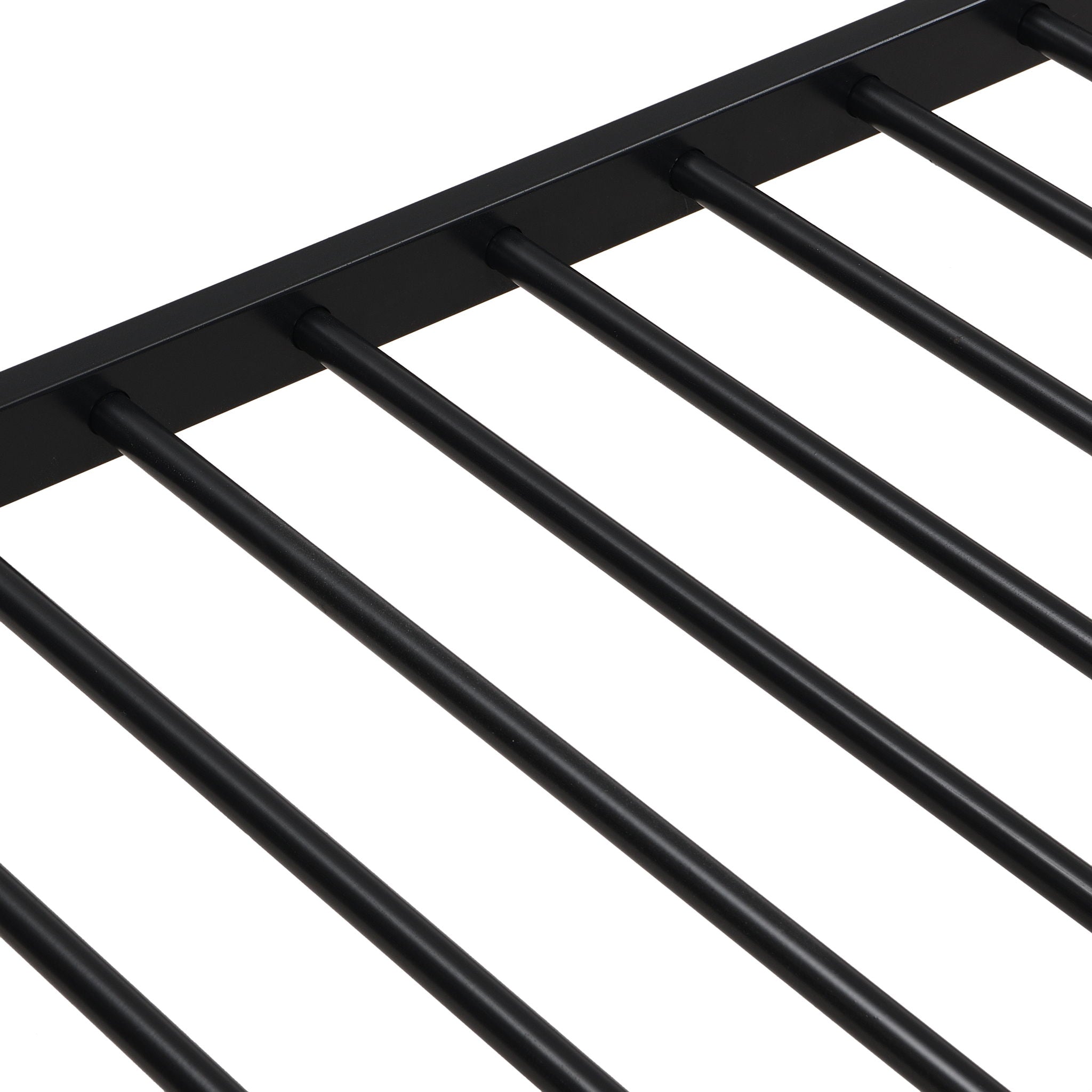 Modern Metal Bunk Bed