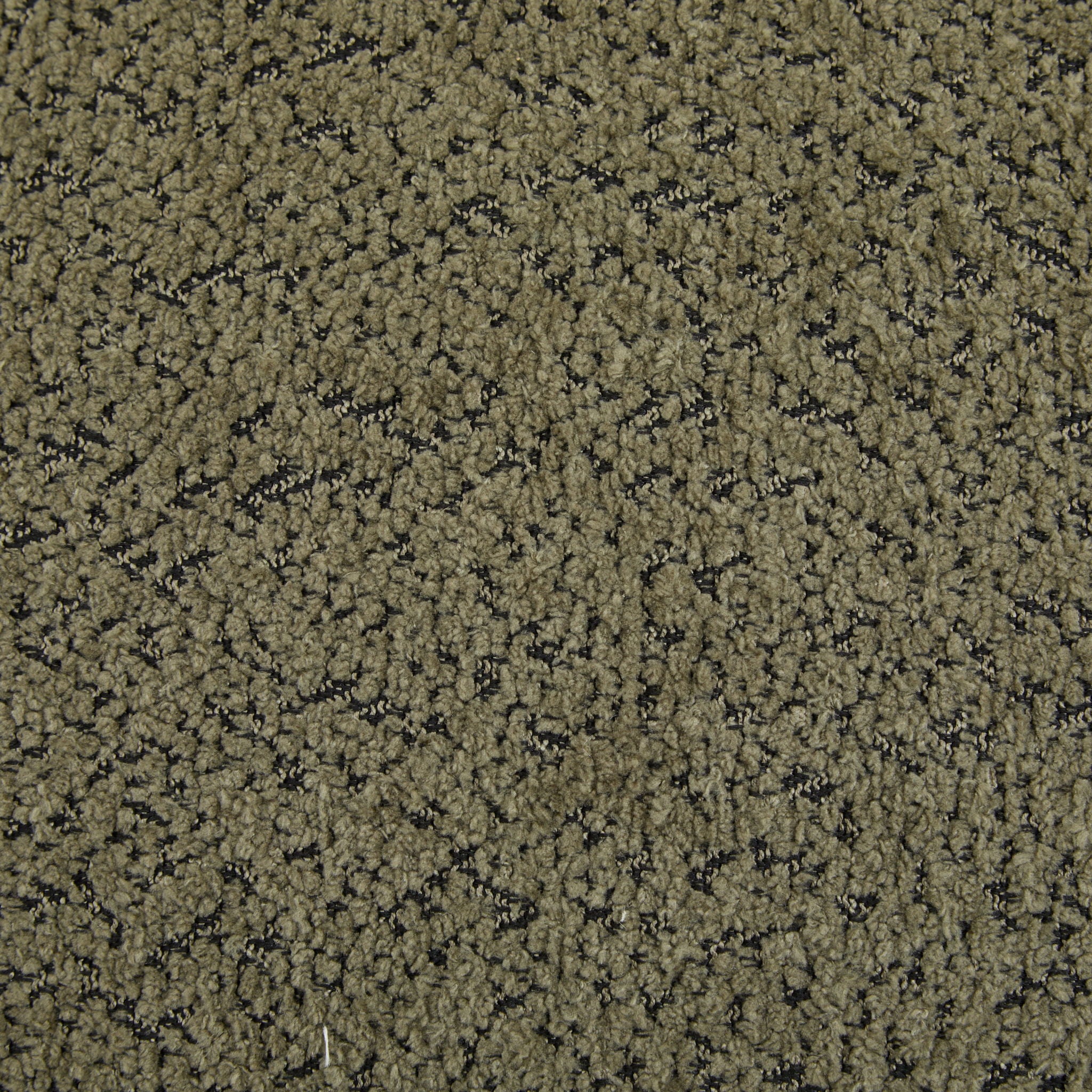 Contemporary Boucle Sherpa Sofa With Birch Wood Legs