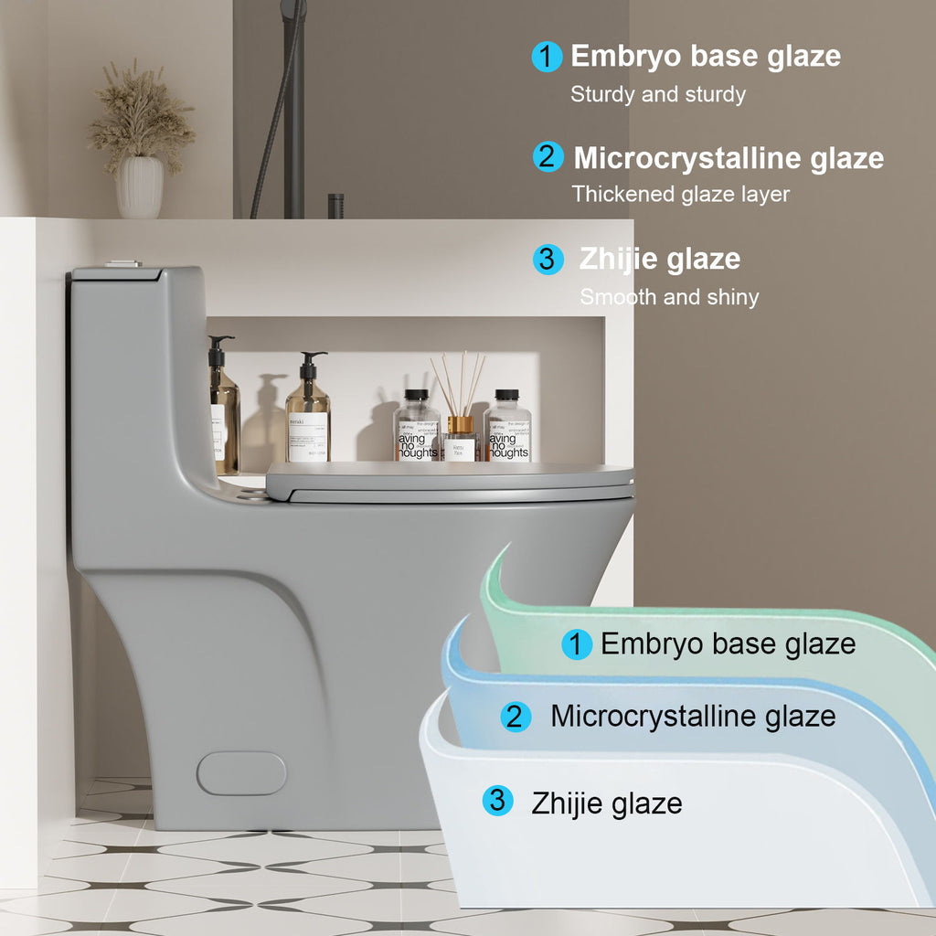 1 Piece Toilet With Dual Flush And Soft Closing Seat