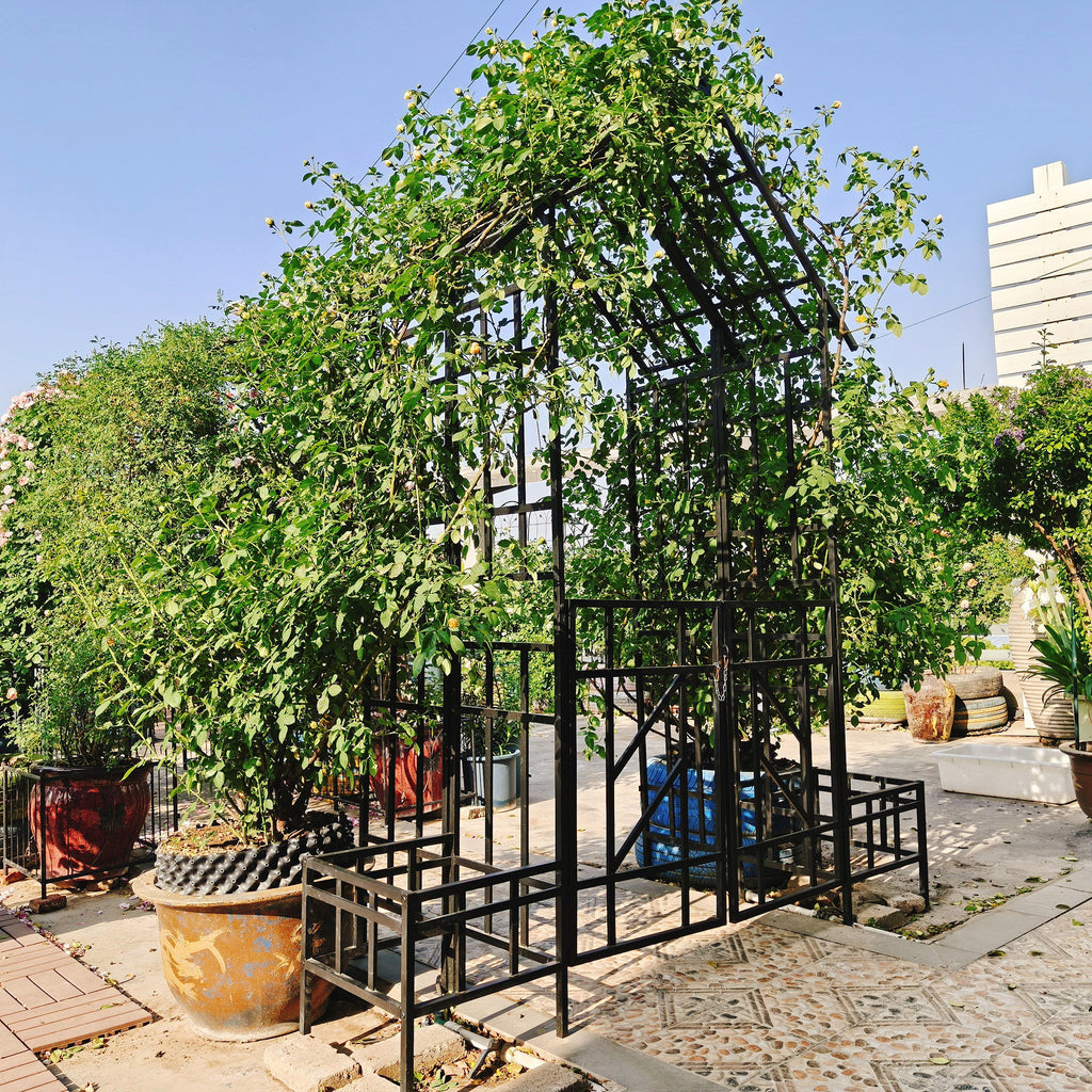 Garden Arch With Gate With Planter, Climbing Plants Support Outdoor - Black