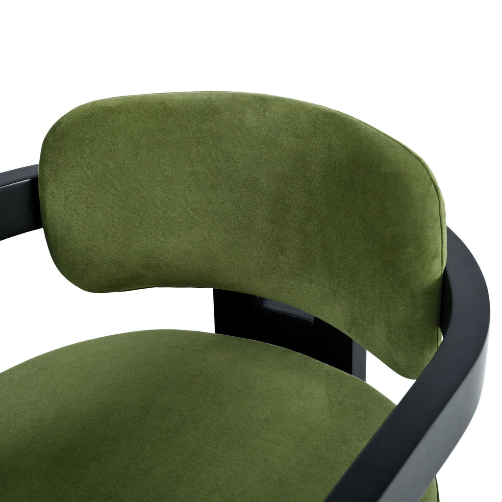 Stylish Indoor Upholstered Wood Dining Chair (Set of 2)