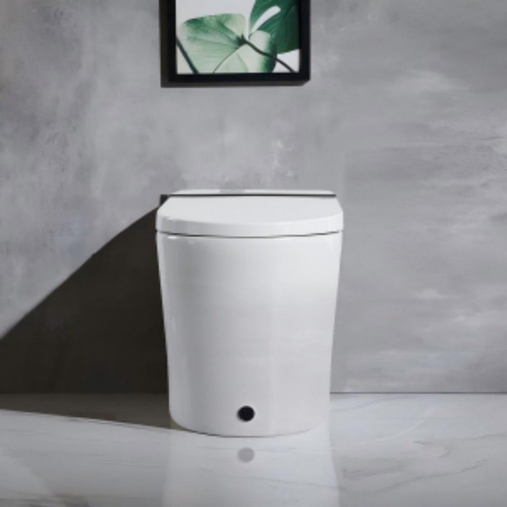 Smart Toilet With Bidet Seat Built In, Auto Open / Close Seat, Foot Sensor, LED Display - White