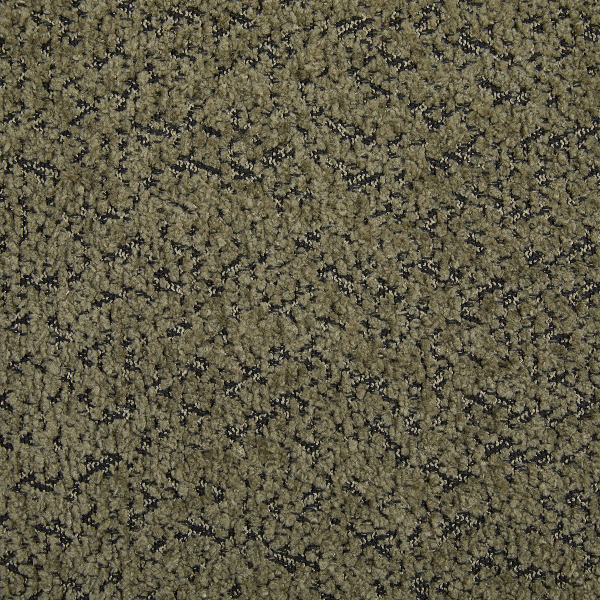 Contemporary Boucle Sherpa Sofa With Birch Wood Legs