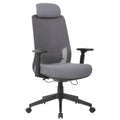 High Back Breathable Ergonomic Office Chair With Adjustable Headrest & 5D Armrest, Height Adjustable Swivel - Antique Gray