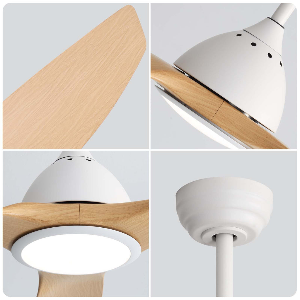 Bredoom Ceiling Fan With Remote Control And LED Light, Blades, Reversible DC Motor For Indoor / Outdoor Use