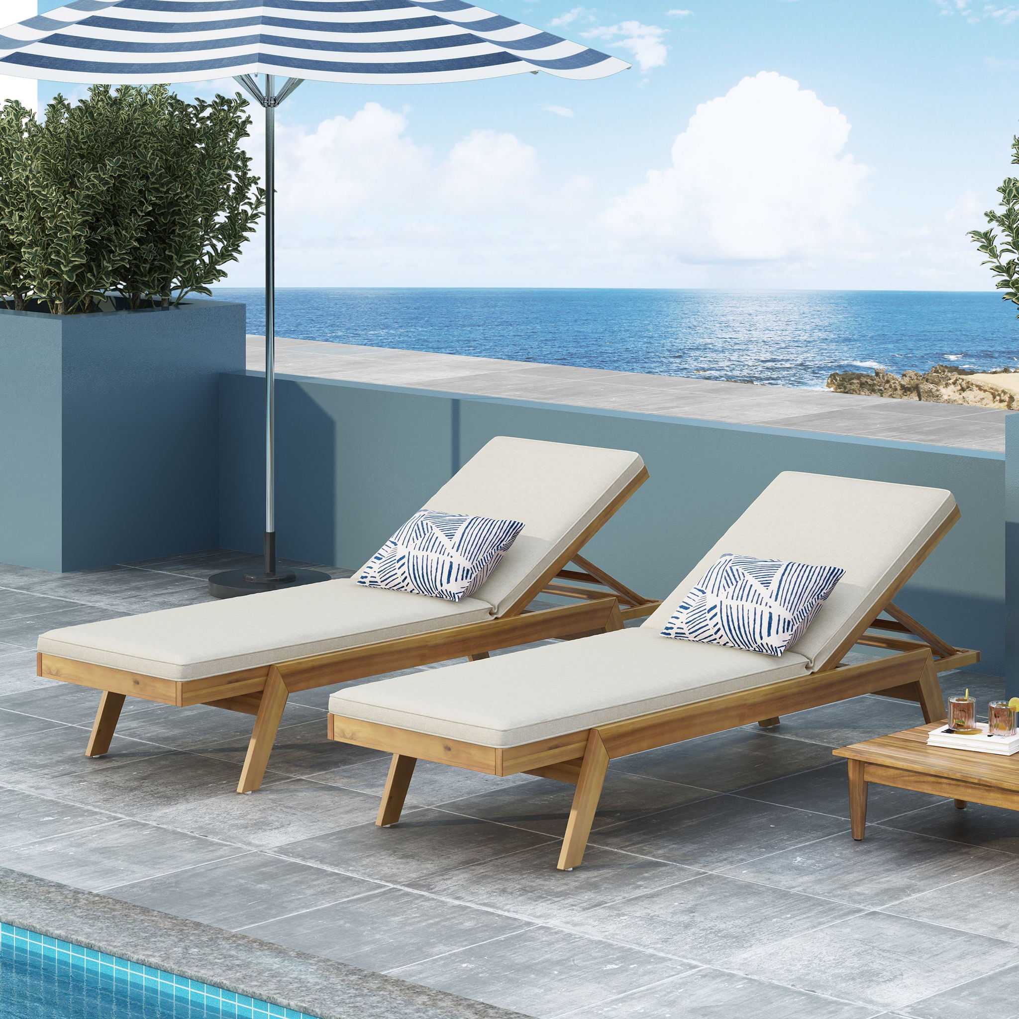 Nebulon - Outdoor Adjustable Chaise Lounge With Water Resistant Cushions (Set of 2)