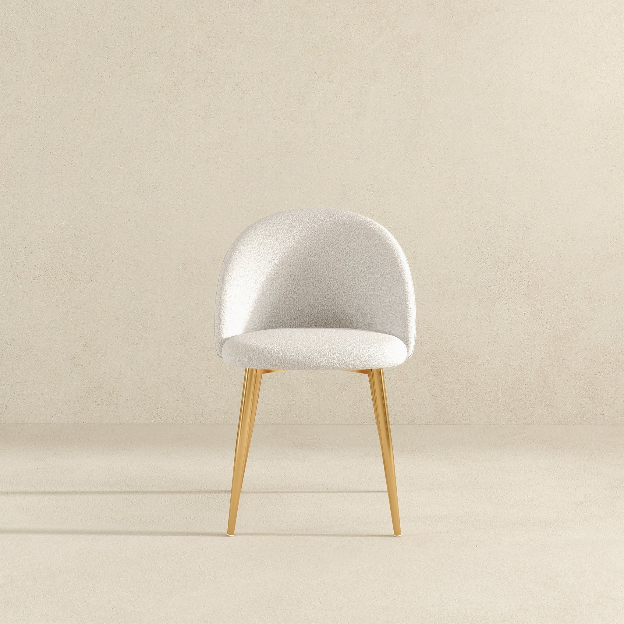 Marion - Mid Century Modern Dining Chair (Set of 2)