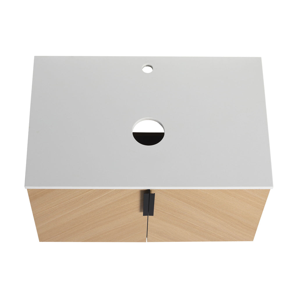 Wall Mounted Design Bathroom Vanity & Art Sink
