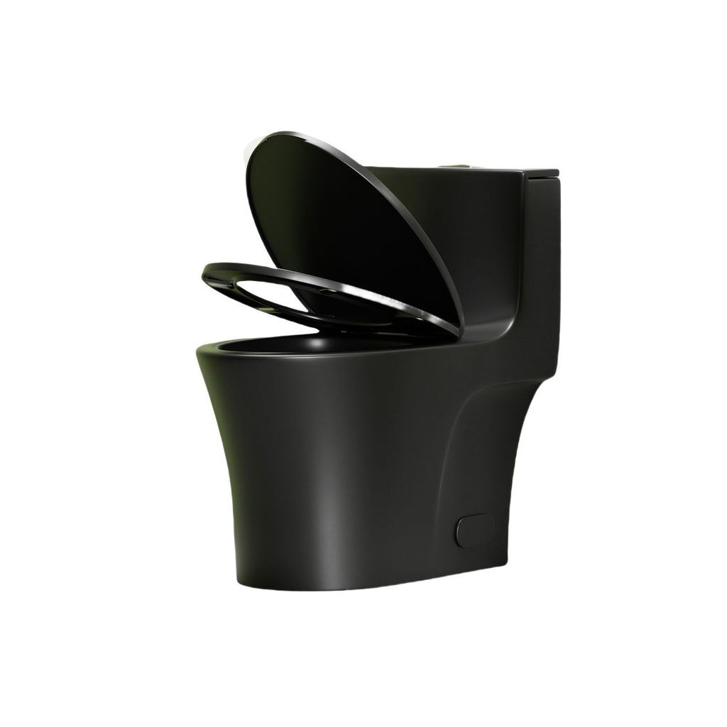 1 Piece Toilet With Dual Flush And Soft Closing Seat