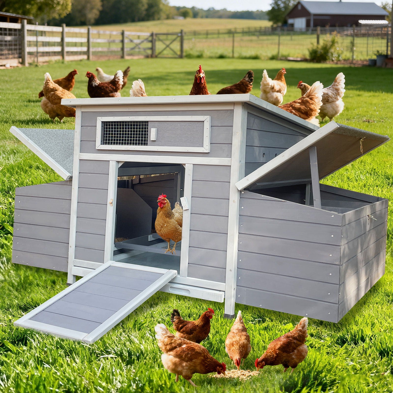 Large Chicken Coop Outdoor Hen House With Dual Nesting Boxes