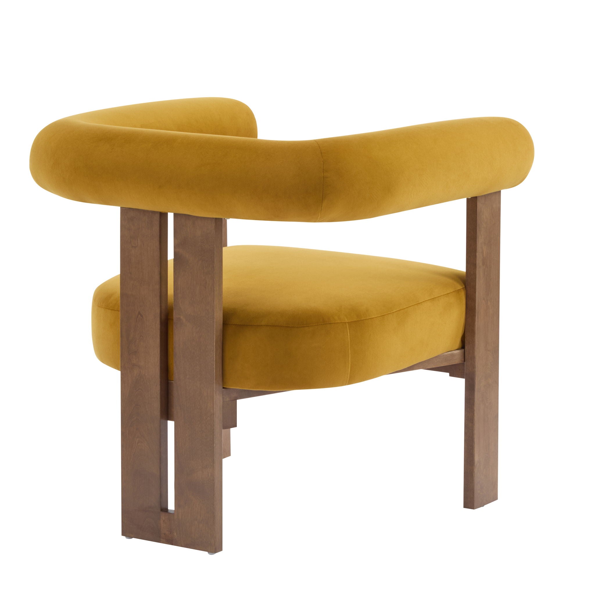 Modern Upholstered Round Arm Accent Chair With Upholstery