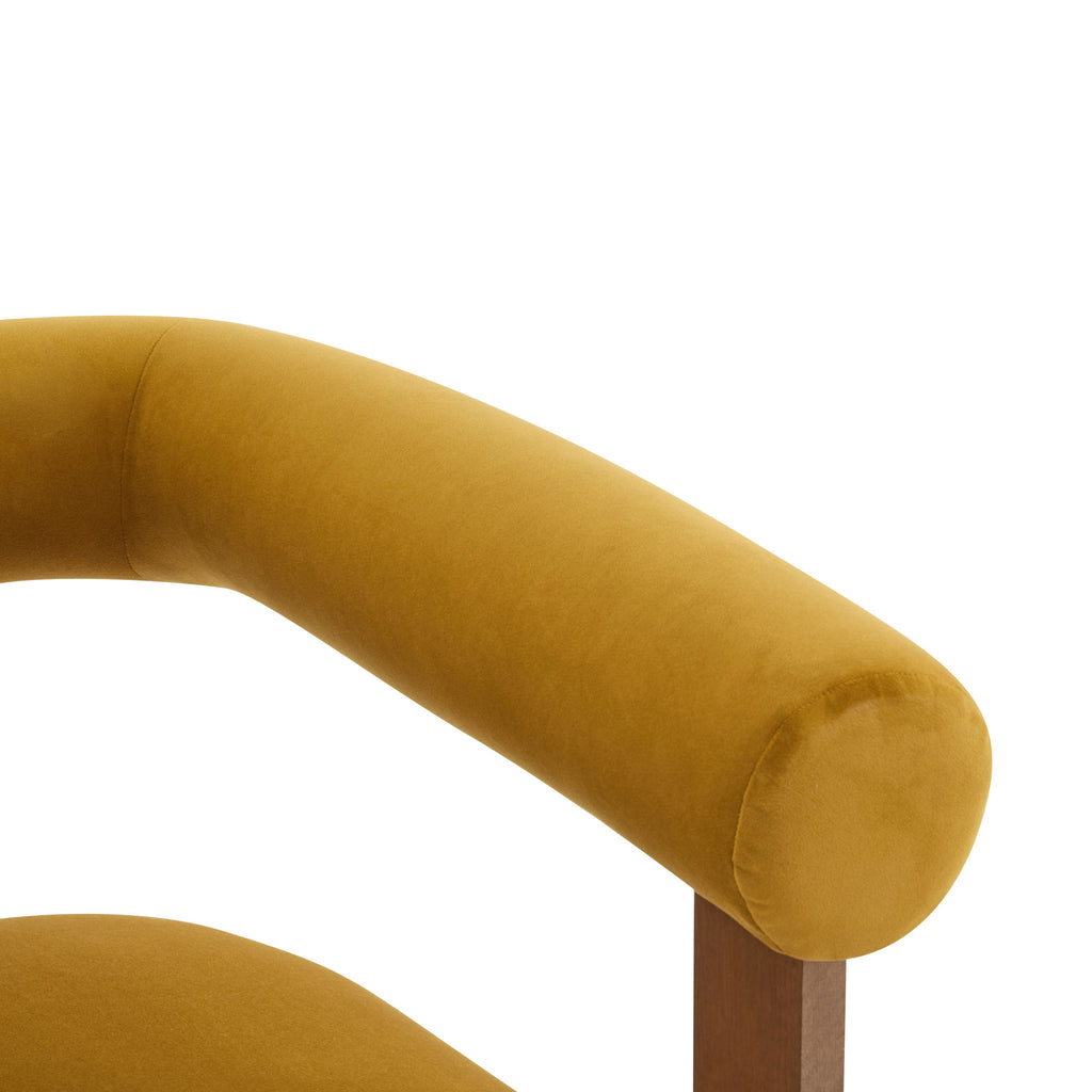 Modern Upholstered Round Arm Accent Chair With Upholstery
